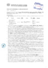 Vista preliminar de documento Resolución Sub Gerencial N° 3087-06-2019-MPT