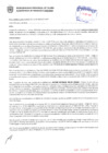 Vista preliminar de documento Resolución Sub Gerencial N° 3155-06-2019-MPT
