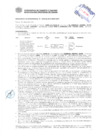 Vista preliminar de documento Resolución Sub Gerencial N° 3076-06-2019-MPT