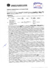 Vista preliminar de documento Resolución Sub Gerencial N° 3614-07-2019-MPT