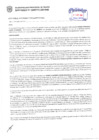 Vista preliminar de documento Resolución Sub Gerencial N° 3218-06-2019-MPT