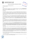 Vista preliminar de documento Resolución Sub Gerencial N° 3109-06-2019-MPT