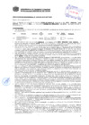 Vista preliminar de documento Resolución Sub Gerencial N° 2783-05-2019-MPT