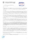 Vista preliminar de documento Resolución Sub Gerencial N° 3282-06-2019-MPT