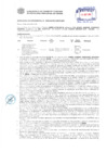 Vista preliminar de documento Resolución Sub Gerencial N° 3082-06-2019-MPT