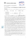 Vista preliminar de documento Resolución Sub Gerencial N° 3074-06-2019-MPT