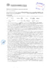 Vista preliminar de documento Resolución Sub Gerencial N° 3041-06-2019-MPT