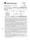 Vista preliminar de documento Resolución Sub Gerencial N° 3703-07-2019-MPT