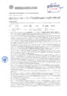 Vista preliminar de documento Resolución Sub Gerencial N° 2447-05-2019-MPT