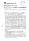Vista preliminar de documento Resolución Sub Gerencial N° 2388-05-2019-MPT