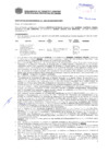 Vista preliminar de documento Resolución Sub Gerencial N° 2381-05-2019-MPT