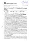 Vista preliminar de documento Resolución Sub Gerencial N° 2391-05-2019-MPT