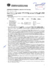 Vista preliminar de documento Resolución Sub Gerencial N° 2653-05-2019-MPT