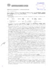 Vista preliminar de documento Resolución Sub Gerencial N° 3039-06-2019-MPT