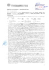 Vista preliminar de documento Resolución Sub Gerencial N° 2427-05-2019-MPT
