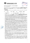 Vista preliminar de documento Resolución Sub Gerencial N° 1650-05-2019-MPT