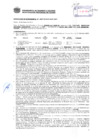 Vista preliminar de documento Resolución Sub Gerencial N° 2687-05-2019-MPT