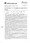 Vista preliminar de documento Resolución Sub Gerencial N° 2124-05-2019-MPT