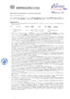 Vista preliminar de documento Resolución Sub Gerencial N° 2487-05-2019-MPT