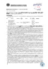 Vista preliminar de documento Resolución Sub Gerencial N° 1129-04-2019-MPT