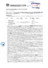Vista preliminar de documento Resolución Sub Gerencial N° 3096-06-2019-MPT