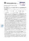 Vista preliminar de documento Resolución Sub Gerencial N° 3100-06-2019-MPT