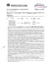 Vista preliminar de documento Resolución Sub Gerencial N° 1713-05-2019-MPT