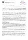 Vista preliminar de documento Resolución Sub Gerencial N° 1310-04-2019-MPT