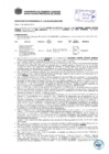 Vista preliminar de documento Resolución Sub Gerencial N° 1137-04-2019-MPT