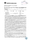 Vista preliminar de documento Resolución Sub Gerencial N° 1134-04-2019-MPT