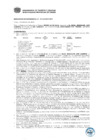 Vista preliminar de documento Resolución Sub Gerencial N° 0371-02-2019-MPT