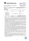 Vista preliminar de documento Resolución Sub Gerencial N° 0487-02-2019-MPT