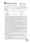 Vista preliminar de documento Resolución Sub Gerencial N° 0498-02-2019-MPT