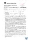 Vista preliminar de documento Resolución Sub Gerencial N° 1138-04-2019-MPT