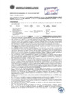 Vista preliminar de documento Resolución Sub Gerencial N° 0733-03-2019-MPT