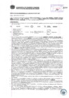 Vista preliminar de documento Resolución Sub Gerencial N° 0520-02-2019-MPT