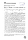 Vista preliminar de documento Resolución Sub Gerencial N° 0294-02-2019-MPT