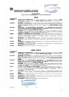 Vista preliminar de documento Resolución Sub Gerencial N° 0155-02-2019-MPT-FE