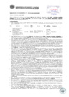 Vista preliminar de documento Resolución Sub Gerencial N° 0522-02-2019-MPT