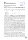 Vista preliminar de documento Resolución Sub Gerencial N° 0602-02-2019-MPT