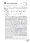 Vista preliminar de documento Resolución Sub Gerencial N° 0729-03-2019-MPT