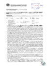 Vista preliminar de documento Resolución Sub Gerencial N° 0771-03-2019-MPT