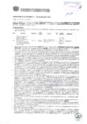 Vista preliminar de documento Resolución Sub Gerencial N° 0732-03-2019-MPT
