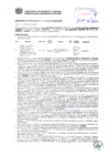 Vista preliminar de documento Resolución Sub Gerencial N° 0731-03-2019-MPT