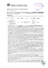 Vista preliminar de documento Resolución Sub Gerencial N° 0728-03-2019-MPT