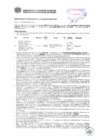 Vista preliminar de documento Resolución Sub Gerencial N° 0710-03-2019-MPT