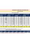 Vista preliminar de documento Consumo PER de gasolina - Octubre 2021