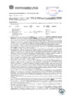 Vista preliminar de documento Resolución Sub Gerencial N° 0707-03-2019-MPT