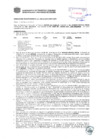 Vista preliminar de documento Resolución Sub Gerencial N° 0705-03-2019-MPT