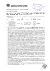 Vista preliminar de documento Resolución Sub Gerencial N° 0489-02-2019-MPT
